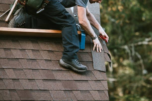 Roof Gutter Cleaning in Oakdale, MN